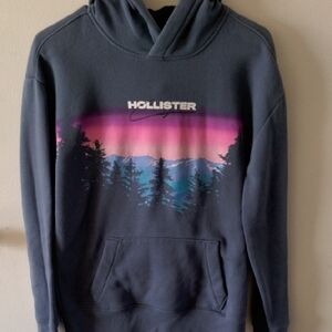 🦋MENS HOLLISTER HOODIE 🦋